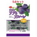 共立食品 ソフト種抜きプルーンピロ 110g ×5袋