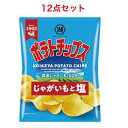 湖池屋 ポテトチップス じゃがいもと塩 60g✕12袋