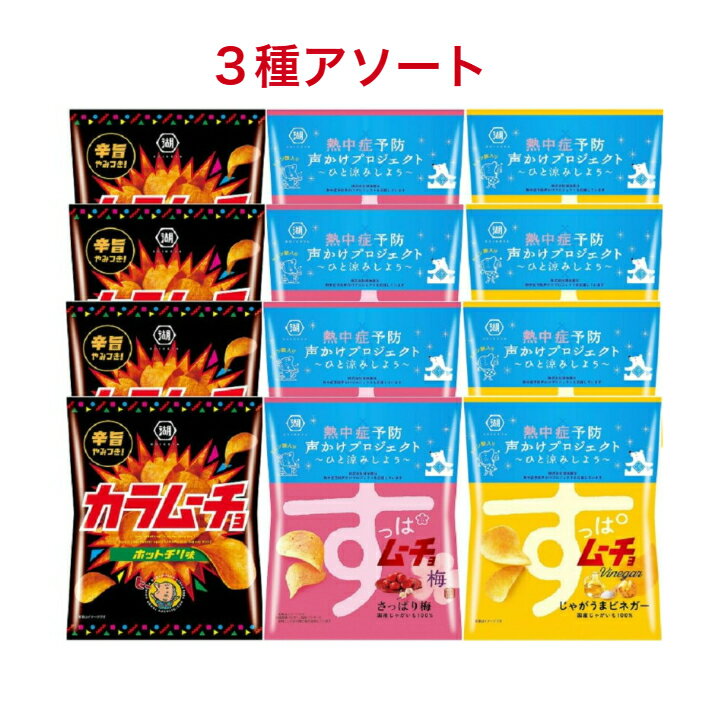 湖池屋 売れ筋ポテトチップス 3種アソート（ホットチリ味、さっぱり梅味、じゃがうまビネガー）各4袋計12袋