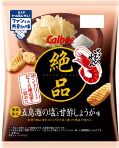 カルビー 絶品かっぱえびせん 五島灘の塩と甘酢しょうが味 60g×12袋