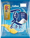 カルビー 夏ポテト 対馬の浜御塩味 61g×12袋(4)