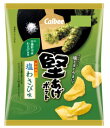 カルビー 特売 カルビー 堅あげポテト 塩わさび味 60g×8袋