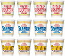 カップヌードル 訳あり 日清 カップヌードル 3種12食アソート (カップヌードル、 シーフード、 カレー)各4個詰め合わせセット