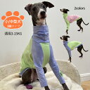 ペット用品 犬服 イタリアングレーハウンド イタリアングレイハウンド イタグレ 服 春 夏 秋 中型犬 犬服 イタ グレ服 スタイリッシュなイタグレ 服 おすすめ ミニピン