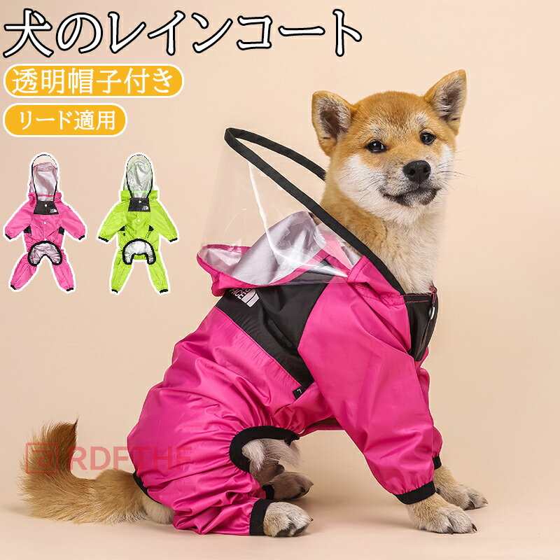 ѥ쥤󥳡  쥤󥳡   淿 緿 2 Ʃ Ĥ ադ Ƹ 夻䤹 եǨʤ   ɥå ...