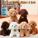 ★期間限定タイムセール★リアル 犬 いぬ イヌ ぬいぐるみ リアルなテディ犬 ラッキーパピー かわいい動物 おもちゃ 犬ぬいぐるみ 人形 子供 男の子ギフト 装...