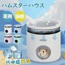★期間限定!2480円→1880円★ハムスター クーラー 冷却 熱中症 対策 冷房 涼感 ハウス 爽やかプレート 保冷 夏涼感 小型ペット用 小動物の巣 ハムスター ひんやりハウス ハムスターハウス 隠れ家 日陰 夏の日 涼しい 温度を下げる 冷え冷え 暑さ対策 夏用 対策 快適 巣寝場所