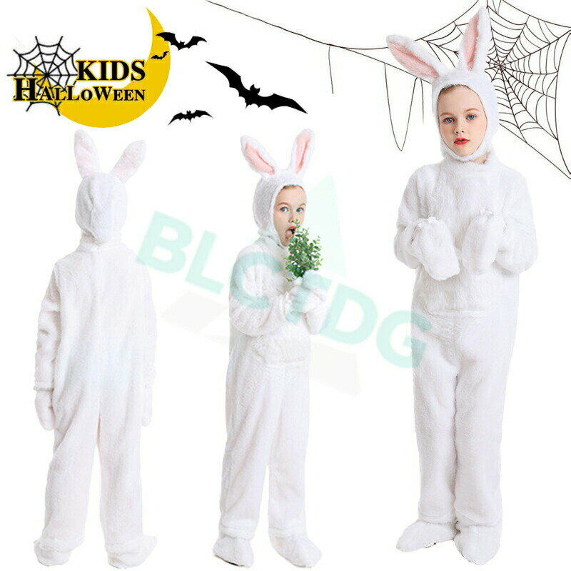 �ϥ������� �����ץ� �Ҷ� ������ �� ������ ưʪ�� ������� �夰��� ���˥ޥ� �����륤���� �����������塼�� �İ��� �դ�դ� ���� �Ҷ��� ���å� ...