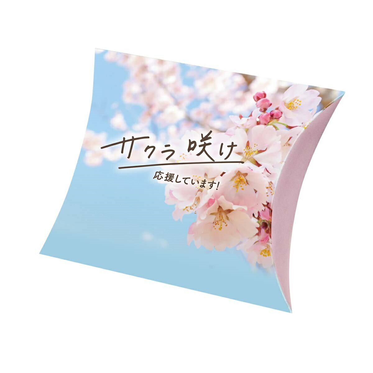 ڥ̵100ġ11.7cm߲14.2cmߥޥ3.5cm饱Ȣߥ˥å ԥʺͭ˾Ȣԥܥå٥ȡ£...