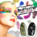 【全品半額coupon事前配布中】【本物を求める方へ】2015年最新作 リアルフェザー全11色!ジェルネイルへの埋め込みOK 3枚入 | ジェルネイル ネイルパーツ パーツ ネイル用品 ジェル ネイル アート ネイルアート ジェルネイル用品 ジュエリー 羽根 羽 セルフネイル