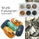 【全品半額coupon事前配布中】ホログラム 乱切り メタル ラメ ジェルネイル アート ネイル ネイルアート 6個セット ケース付き | ネイル用品 ネイルグ...