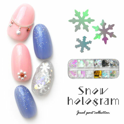 【全品半額coupon事前配布中】雪 雪結晶 ホログラム 小分けケース入り 雪の結晶ホログラムセット | セット ホロ ジェル レジン ネイル ネイル用品 ネイ...