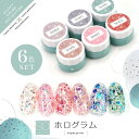 【全品半額coupon事前配布中】【全6色セット】Select color SOシリーズ ホログラム カラージェル ジェルネイル セレクトカラージェル カラー ポリッシュ ネイルジェル アートジェル ジェルネイル用品 爪 カラージェルネイル ジェルネイルアート ネイル工房 にわちゃん