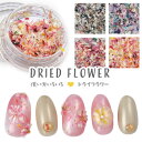 押し花 押花 ドライフラワー 春 お花 ハーバリウムアート が楽しめる フラワー お試しセットネイルパーツ ネイルアート デコ | 花 パーツ ジェル ジェルネ...