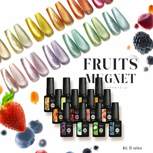 【全12色セット】超高発色 マグネットネイル フルーツの果汁のような透明感あふれる 「FruitMagnet」 カラージェル …