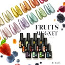 【全12色セット】超高発色 マグネットネイル フルーツの果汁のような透明感あふれる 「FruitMagnet」 カラージェル ジェルネイル クリアカラー カラー ポリッシュ ネイルジェル ジェルネイル用品 爪 カラージェルネイル ジェルネイルアート ネイル工房 にわちゃん