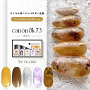 【全品半額coupon事前配布中】【canon0k73 ネイル工房】 アンバサダーコラボ企画 5本セット ジェルネイル カラージェル | カラー ポリッシュ ネイルジェル アートジェル ジェルネイル用品 爪 …