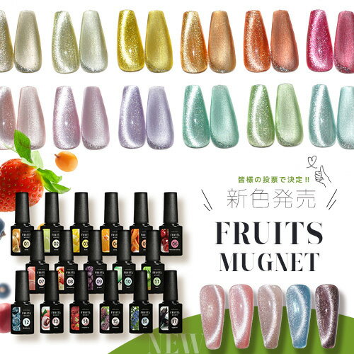 ȾcouponĶȯ ޥͥåȥͥ ե롼Ĥβ̽Τ褦Ʃդ FruitMagnet 顼 ͥ ꥢ顼 ե롼ĥޥͥå ͥ른 ȥ ͥ  顼ͥ ͥ빩˼ ˤ