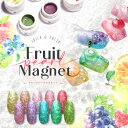 超高発色 マグネットネイル 模様が付けられるパール 果汁100%のようなジューシー発色 「FruitPearlMagnet」 カラージェル ジェルネイル ネイルジェル アートジェル ジェルネイル用品 爪 カラージェルネイル ネイル工房 にわちゃん