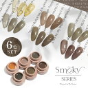 【全品半額coupon事前配布中】【全6色セット】シアーカラージェル 『Smoky』 くすみ くすみシアー コーヒー ナチュラル 透け感 ほんのり発色 カラージェル ジェルネイル カラー ポリッシュ ネイルジェル アートジェル ジェルネイル用品 爪 ネイル工房 にわちゃん