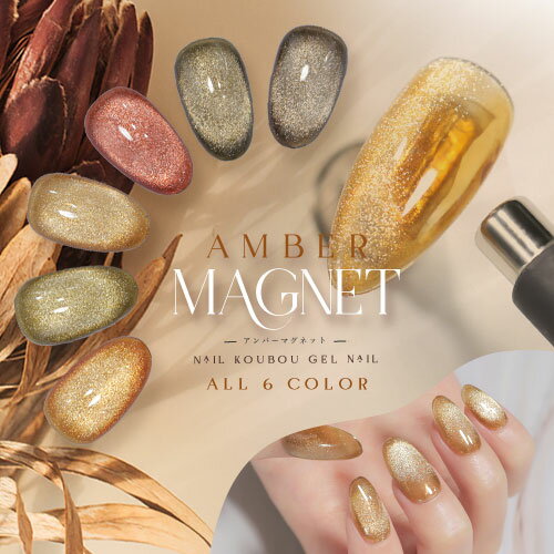 【全品半額coupon事前配布中】マグネットネイル 冬のWarmカラー アンバー 琥珀 『Amber Magnet』 カラージェル ジェ…