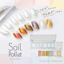 【全品半額coupon事前配布中】Soil Pallet しっとりエフェクトきらめきパウダー ミラーパウダーペンのように割れ＆飛び散り知らず しっとりとした質感 オーロラパウダー うるうる パウダー ジェルネイル用品 カラーパウダー カラージェル カラー ミラー ネイル工房 1