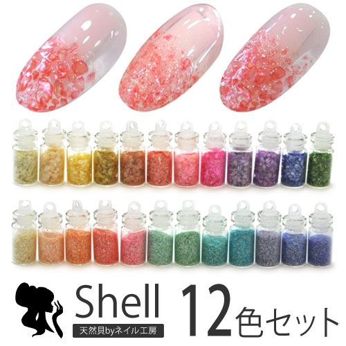 【ネイル工房★全品半額SALE】ジェルネイル クラッシュシェル12色セット | ストーンセット パーツ ネイルパーツ セット ジェル ネイル用品 ネイル シェル クラッシュシェル シェルストーン シェルフレーク ネイルアート ジェルネイル用品 ジェルネイルアート ネイル工房