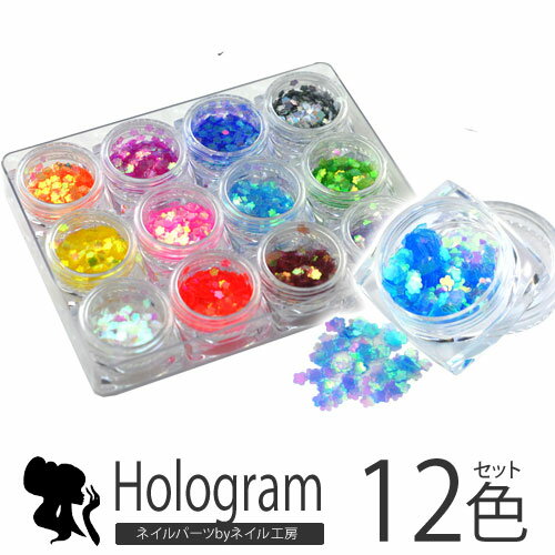 ジェルネイルやレジンに♪クリアオーロラ♪クリアAB♪お花の形のホログラム12色セット | セット ホログラム ホロ オーロラ 花 フラワー ジェルネイル ジェル...