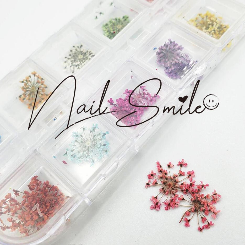 【12色セット】ネイルパーツ 押し花 花 ネイルグッズ ネイル用品 ネイル ネイルアート ドライフラワー フラワー アクセサリー ハンドメイド 押し花ネイル 花材 アクセサリーパーツ ジェルネイル レジン 埋め込み 人気 おすすめ かわいい お洒落 押花 韓国ネイル 春ネイル