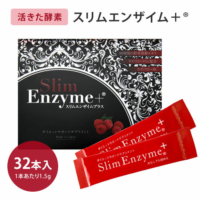 500OFFݥоݡ۳褭 २󥶥ץ饹 32 २󥶥 Slim Enzym 饺٥꡼̣ å ץ ǡKINOˡڥݥ10ܡۡ0606ۡDMۡڳߡ
