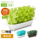 【100円OFFクーポン】本体・交換フィルターセット 「ミスティガーデン 2nd」 自然気化式小型加湿器 ミクニ【ポイント10倍】【1112】【送料無料】【SIB】【海外×】