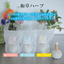 ワロマハーブ 和草ハーブボール 60g WARoMaHERB 愛 恵 結 ハーブボール ハーブ トリートメント リラックス 更年期 女性 男女 温め 香り マタニティ お灸 国産 （MVR）【SIB】【ASU】【海外×】 2