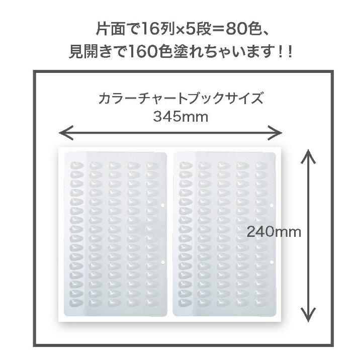 【3,980円以上送料無料】【公式】カラーチャートブック ネイル カラージェル ガイド サンプル トップコートいらず 管理 簡単 便利 セルフネイル ネイリスト ナチュラルフィールドサプライ