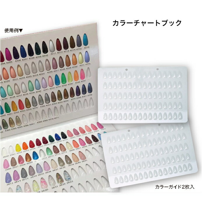 楽天NAIL DEPOT【3,980円以上送料無料】【公式】カラーチャートブック ネイル カラージェル ガイド サンプル トップコートいらず 管理 簡単 便利 セルフネイル ネイリスト ナチュラルフィールドサプライ