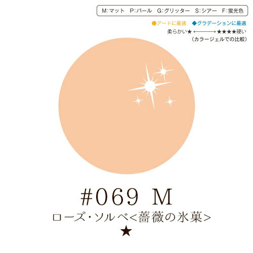 リーフジェル プレミアム・カラージェル　4g　#069