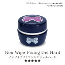 【お客様感謝祭ALL10%OFF!!】リーフジェルプレミアム・ノンワイプフィキシングジェル ハード 4g