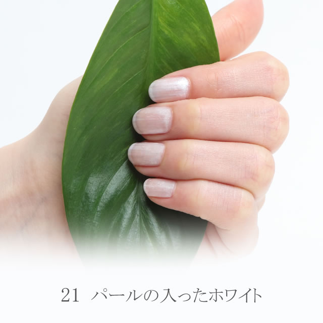 �����ͥ��� shellscoat(�����륺������) 21 �ѡ��륹�Ρ� 6ml