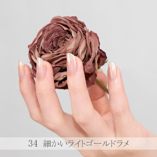 �����ͥ��� shellscoat(�����륺������) 34 ������ǥ󥷥� 6ml