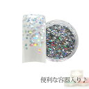 【メール便可】容器入り 丸ホログラム オーロラシルバー 1ミリ 0.5g