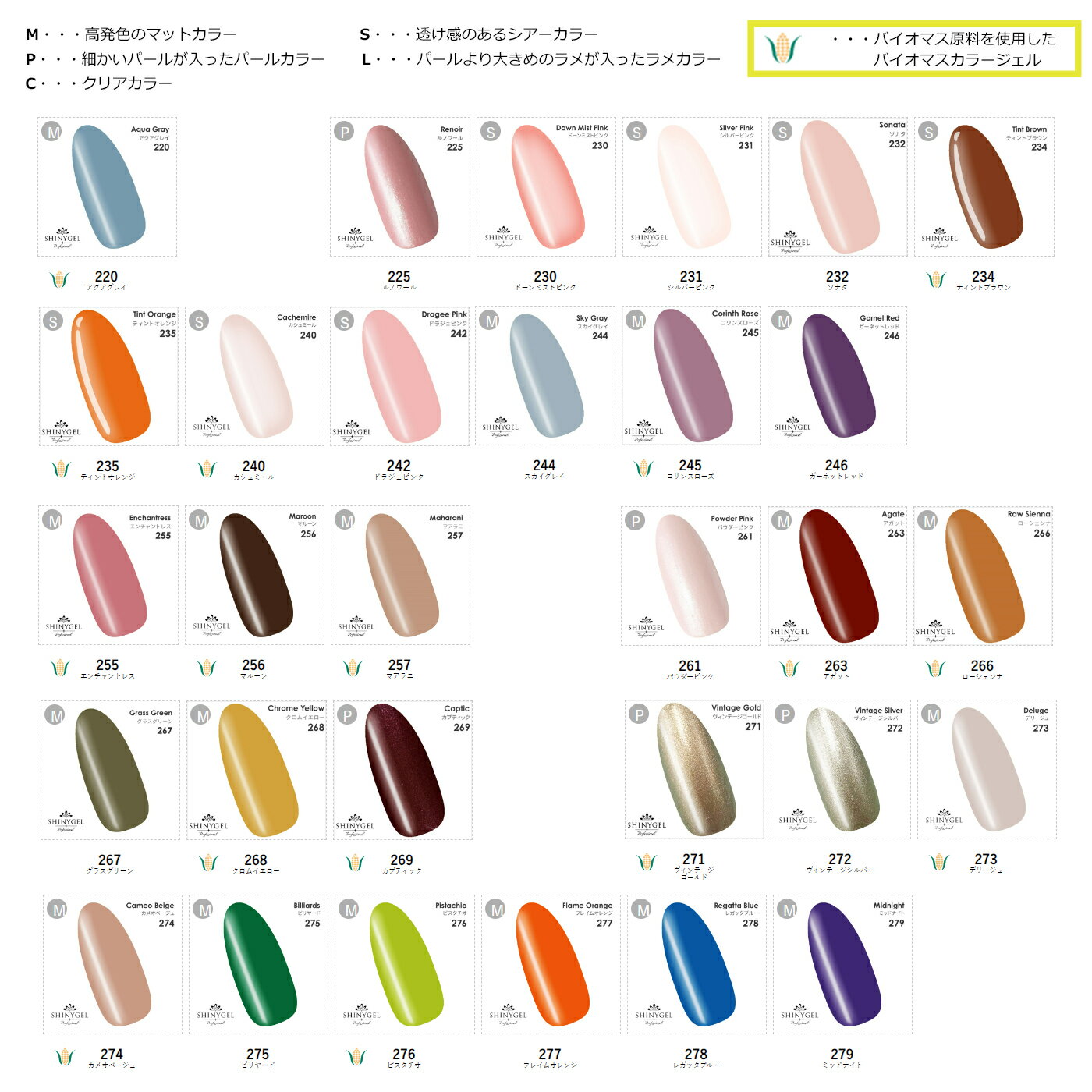 プロ仕様の本格的なキットSHINYGEL