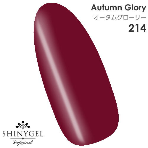 SHINYGEL Professional：カラージェル 214／オータムグローリー ボルドー 葡萄色 4g （シャイニージェルプロフェッショナル）［UV/LED対応○］（JNA検定対応）