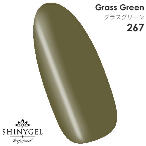 SHINYGEL Professional：カラージェル 267/グラスグリーン 4g （シャイニージェルプロフェッショナル）［UV/LED対応○］（JNA検定対応）