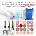 【ボトルタイプ】≪6W≫ジェルネイルキット(ハンディ6W LEDランプ付ジェルネイルセット) シャイニージェル