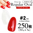 ☆16日限定！16％OFFクーポン☆クリアチップ【レギュラーオーバル2番のみ/250枚セット】メール便可 AN11 ネイルマップ オーバル ロングオーバル クリアネイルチップ クリア クリアチップ フルカバー プレーン 練習用 サン