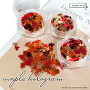 ジェルネイル 【 メープル 紅葉ホログラム 全3種 】 ホログラム 紅葉 カエデ 楓 もみじ 秋 リーフ ナチュラル 葉 ボタニカル 薄型 キラキラ 葉っぱ ネ...