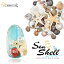 ͥ ѡ  Sea Shell - -  ŷ ʪҥȥ ŷ  եå ޥѡ ͥ륢ȥ᥿ ҥȥ ޡͥ ͥѡ   ͥޥå