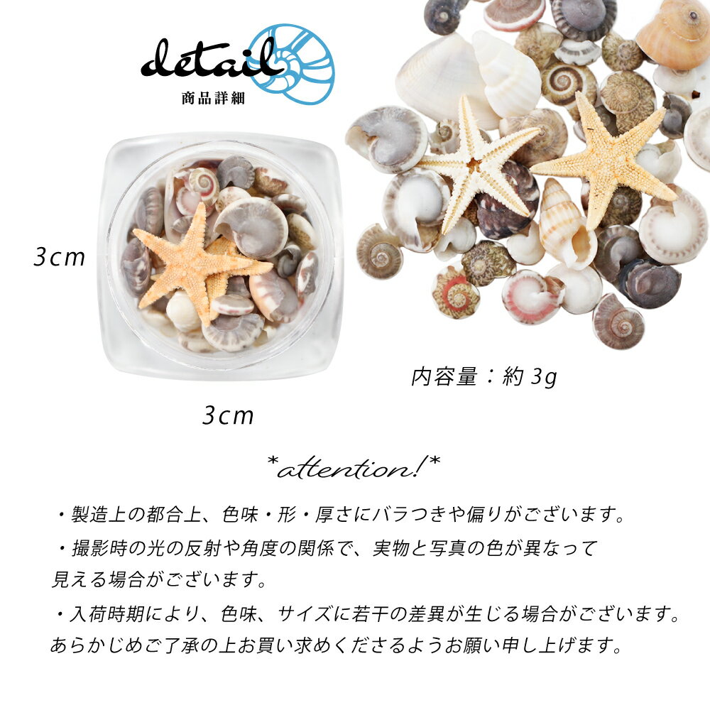 �ޥ饽��ǽ�����15%����COUPON���ͥ��� �ѡ��� �� Sea Shell -���� ������- �� ŷ���� ��ʪ�ҥȥ� ŷ�� ���� �������ե��å��� �ޥ��ѡ��� �ͥ��륢���ȥ᥿�� �ҥȥ� ���ޡ��ͥ��� ��