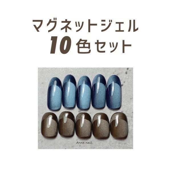 ネイルパフェ カラージェル マグネットジェル 10色 セット