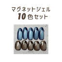 ネイルパフェ カラージェル マグネットジェル 10色 セット