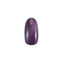 【限定特別価格!!!】Eネイルパフェ マグネットジェル S15エマンヴィオレ 10g